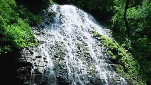 高端智慧智能化